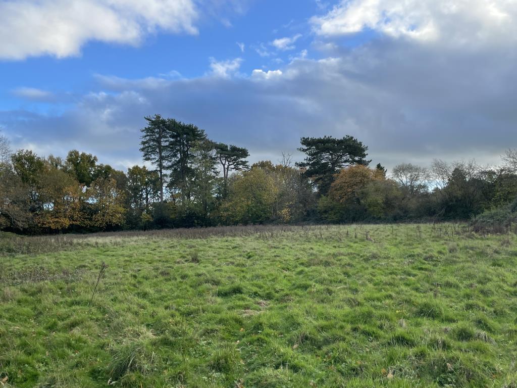 Lot: 37 - 4.57 ACRE PARCEL OF LAND WITH ROAD FRONTAGE - Land